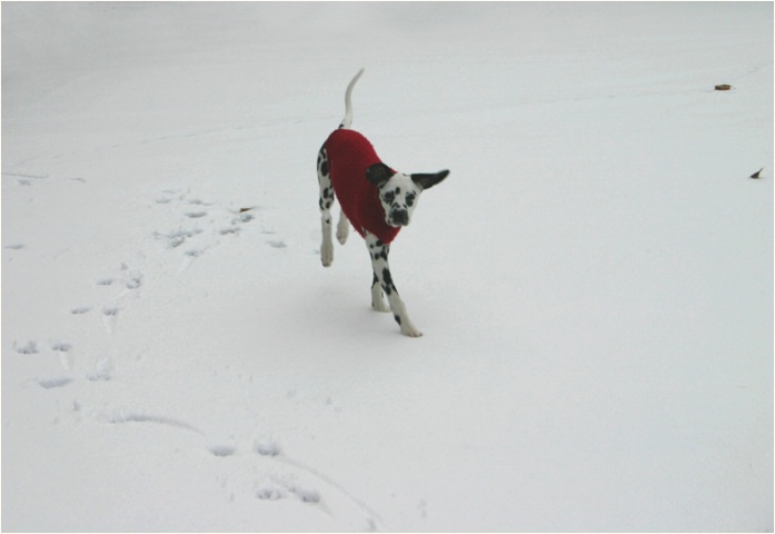 <b>super! wieder ein Schneetag!<b>